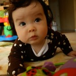 nov14_6months