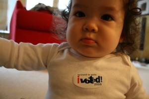 nov4_ivoted1