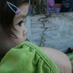 oct11_pumpkinpatch1