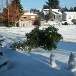 nov24_snowmen1