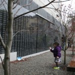 nov7_niseiwall2