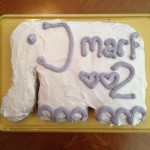 jul25_marfparty1